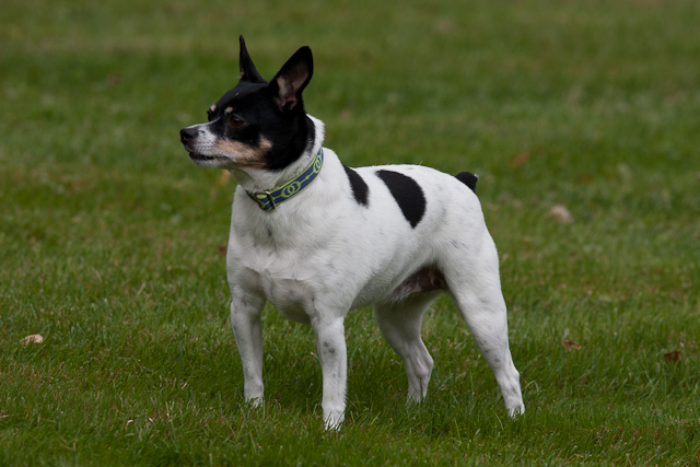 Image 001 of 022