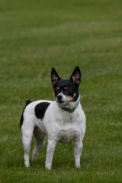 Image 001 of 022