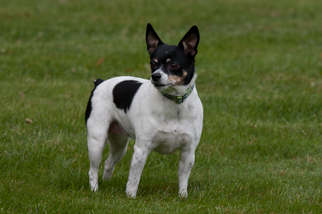 Image 001 of 022