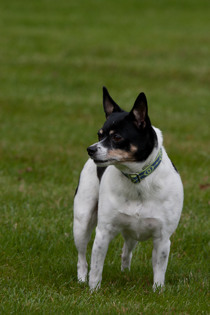 Image 001 of 022