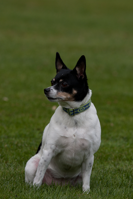 Image 001 of 022