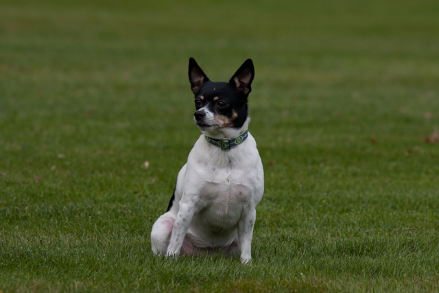 Image 001 of 022