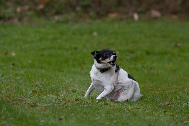 Image 001 of 022