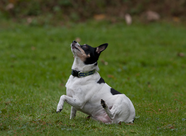 Image 001 of 022