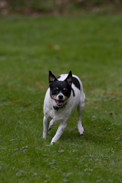 Image 001 of 022