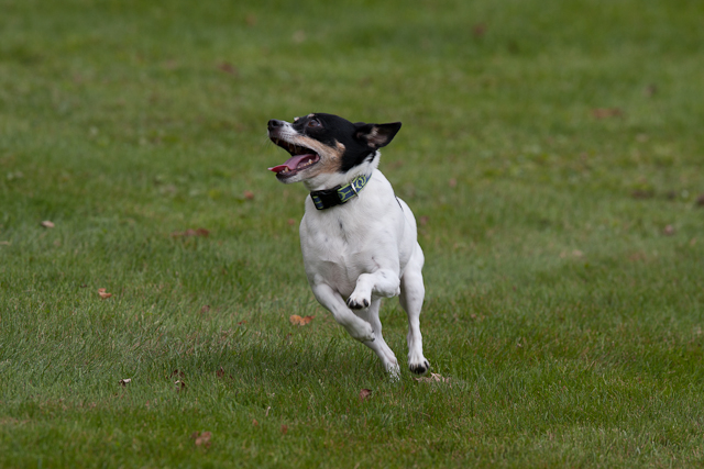 Image 001 of 022