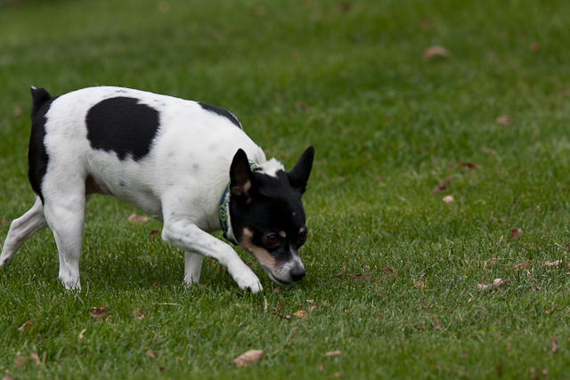 Image 001 of 022