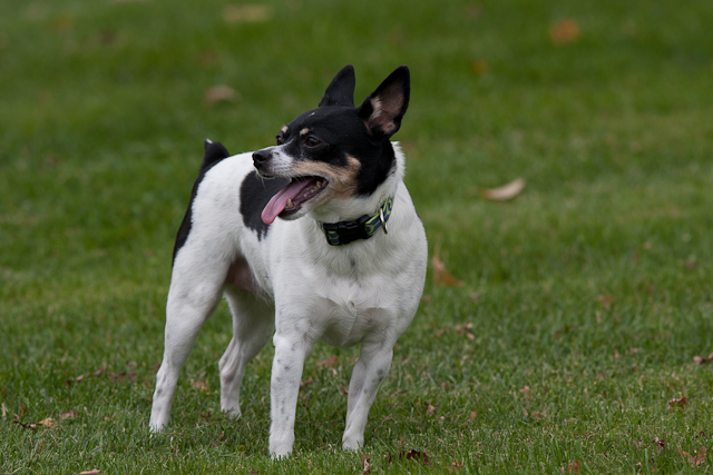 Image 001 of 022