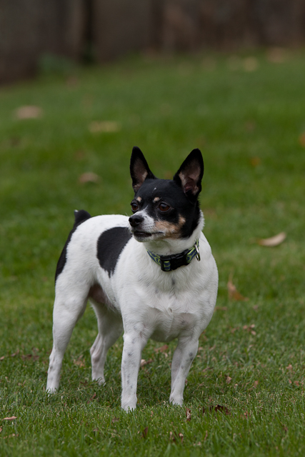 Image 001 of 022